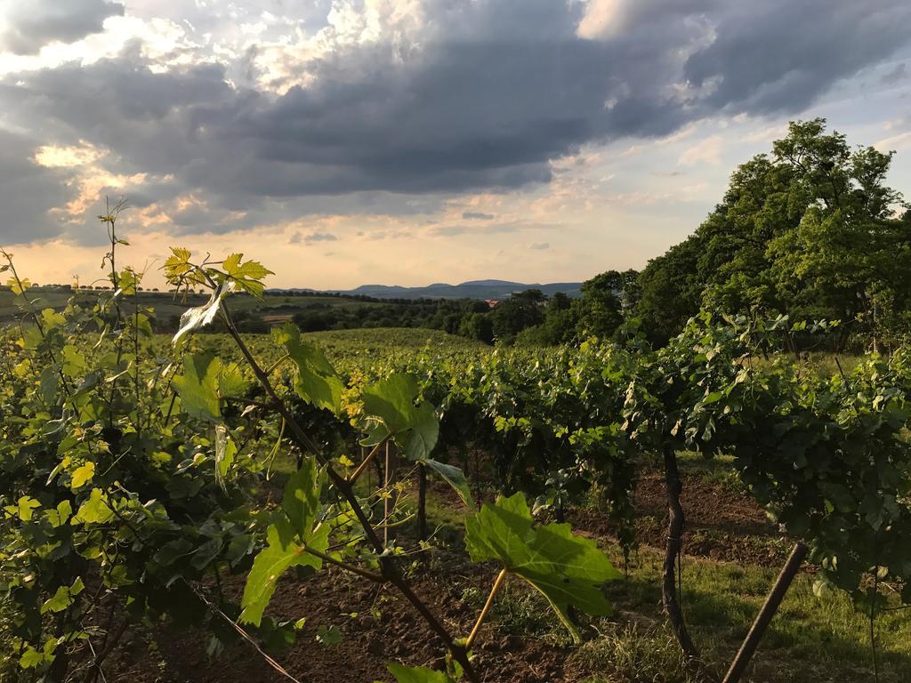 Vila Mia Valtice Exteriér fotografie